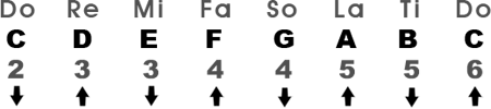 Major Scale in the Key of C